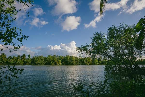 看完我沉默了：湖人点球判定惹怒全网，球迷直接破防，解释也救不了