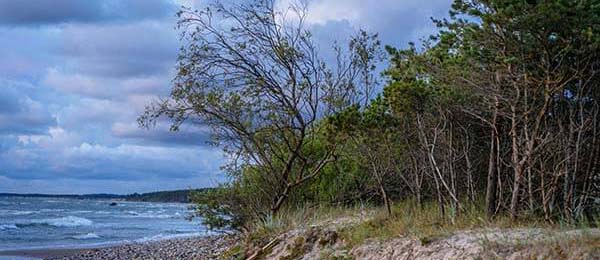 最让人愣住的是：尤文赢了但不踏实，轮换失误像一根刺