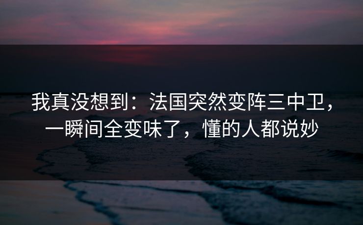 我真没想到：法国突然变阵三中卫，一瞬间全变味了，懂的人都说妙