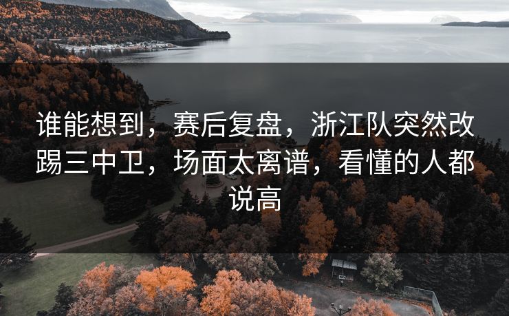 谁能想到，赛后复盘，浙江队突然改踢三中卫，场面太离谱，看懂的人都说高